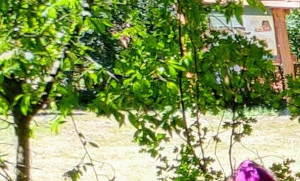 Liturgiczna Służba Ołtarza przy ognisku